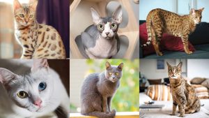 Animaux et plantes
