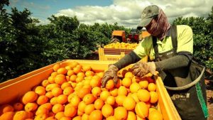 Produits alimentaires