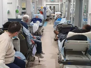 Terminologie médicale