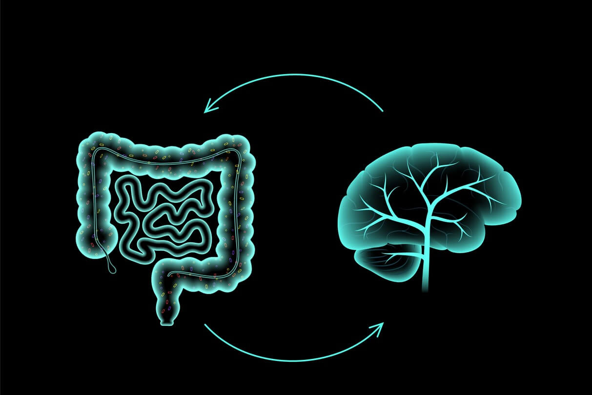 L'axe intestin-cerveau : clé du bien-être mental et physiologique