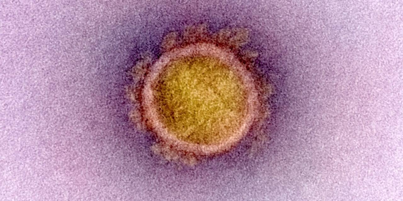 Variant SARS-CoV-2 BA.3.2 : mutation, propagation, implications sanitaires